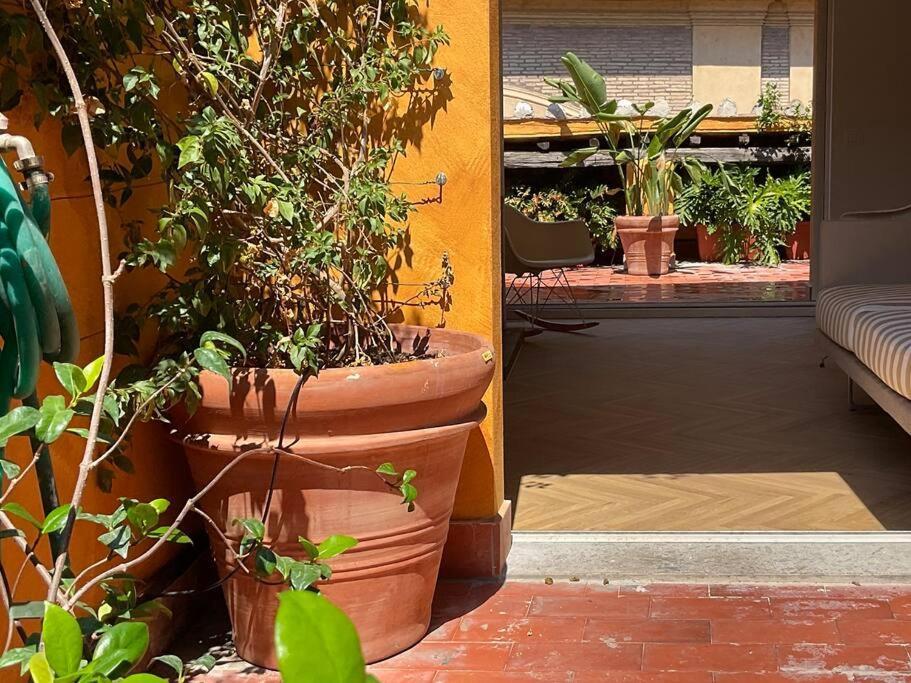Attico Con Due Terrazze Al Pantheon, Apartment