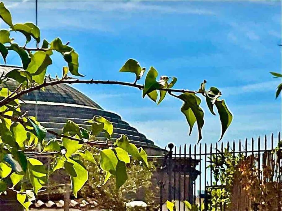 Attico Con Due Terrazze Al Pantheon, * Rome